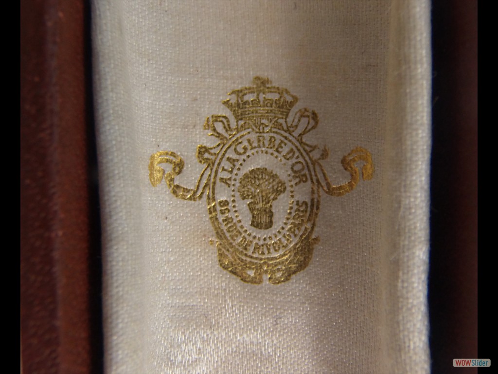 épingle-de-cravate-en-or-18k-dans-son-écrin-19ème (4)